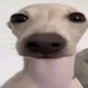 Emoji keskia