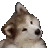 Emoji HEH