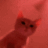 Emoji SOUSCOKE