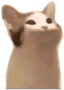 Emoji 1113_Pop_cat