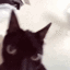 Emoji 4852catshake