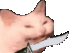 Emoji 6398catstab