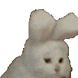 Emoji youhou