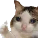 Emoji emoji_47