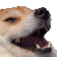 Emoji ftt_doghaha