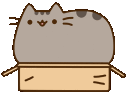 Emoji PusheenBox