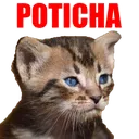 Emoji POTICHA