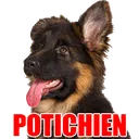 Emoji POTICHIEN