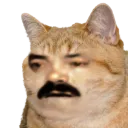 Emoji kek_cats