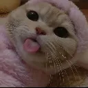 Emoji BabyCat