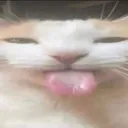 Emoji silly