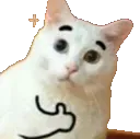 Emoji tama_caaimebien