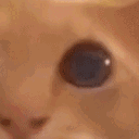 Emoji clinoeil