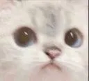 Emoji hum
