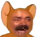 Emoji kek_jerry
