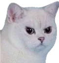 Emoji LHkata