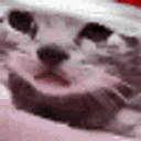 Emoji catcry