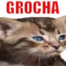 Emoji groschat