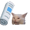 Emoji slapcat