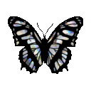 Emoji Black_butterfly
