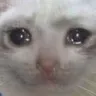 Emoji catcry