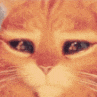 Emoji Orange_wow