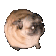 Emoji SECT_dance_dog