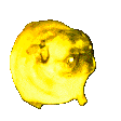 Emoji SECT_dance_dog_v2