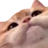 Emoji cc