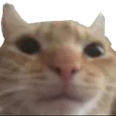 Emoji emoji_33