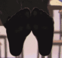 Emoji SECT_feet
