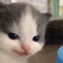 Emoji evilcathehe