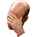 Emoji picardfacepalm