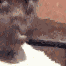 Emoji emoji_95