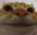 Emoji catmoment