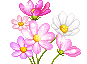 Emoji flower_2