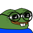 Emoji pepeoNerd