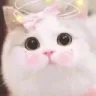 Emoji Catuh