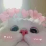 Emoji Catluv