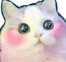 Emoji Catshy