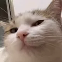 Emoji __