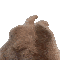 Emoji bunnydance