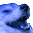 Emoji doglaugh