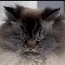 Emoji emoji_21