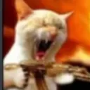 Emoji ratatatataaa