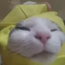 Emoji emoji_22