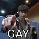 Emoji GAY