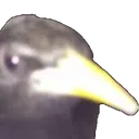 Emoji we