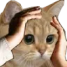 Emoji HL_05_chat