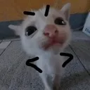 Emoji emoji_66